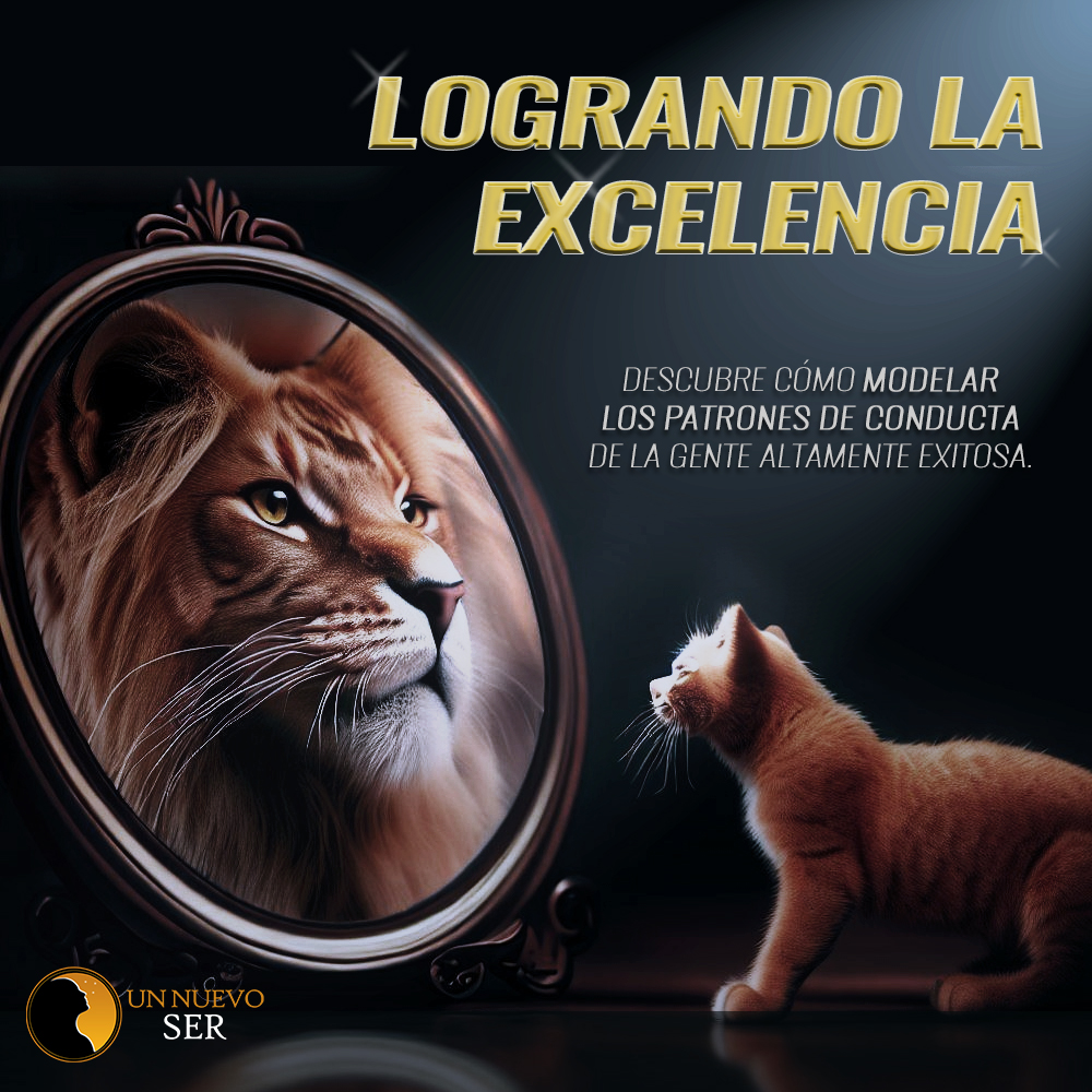 Logrando la Excelencia