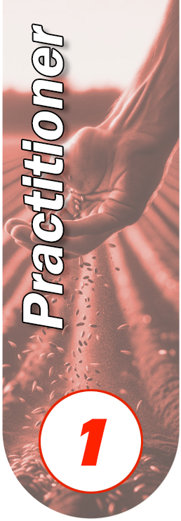 Practitioner